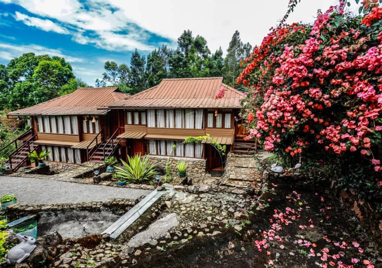 Resort Bethel Varkis Munnar