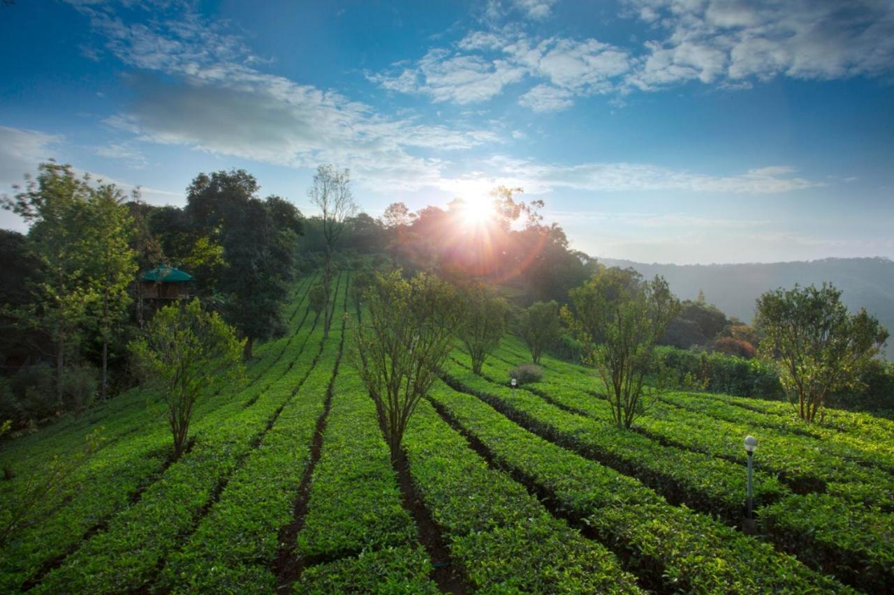 Sisiram River Side Munnar