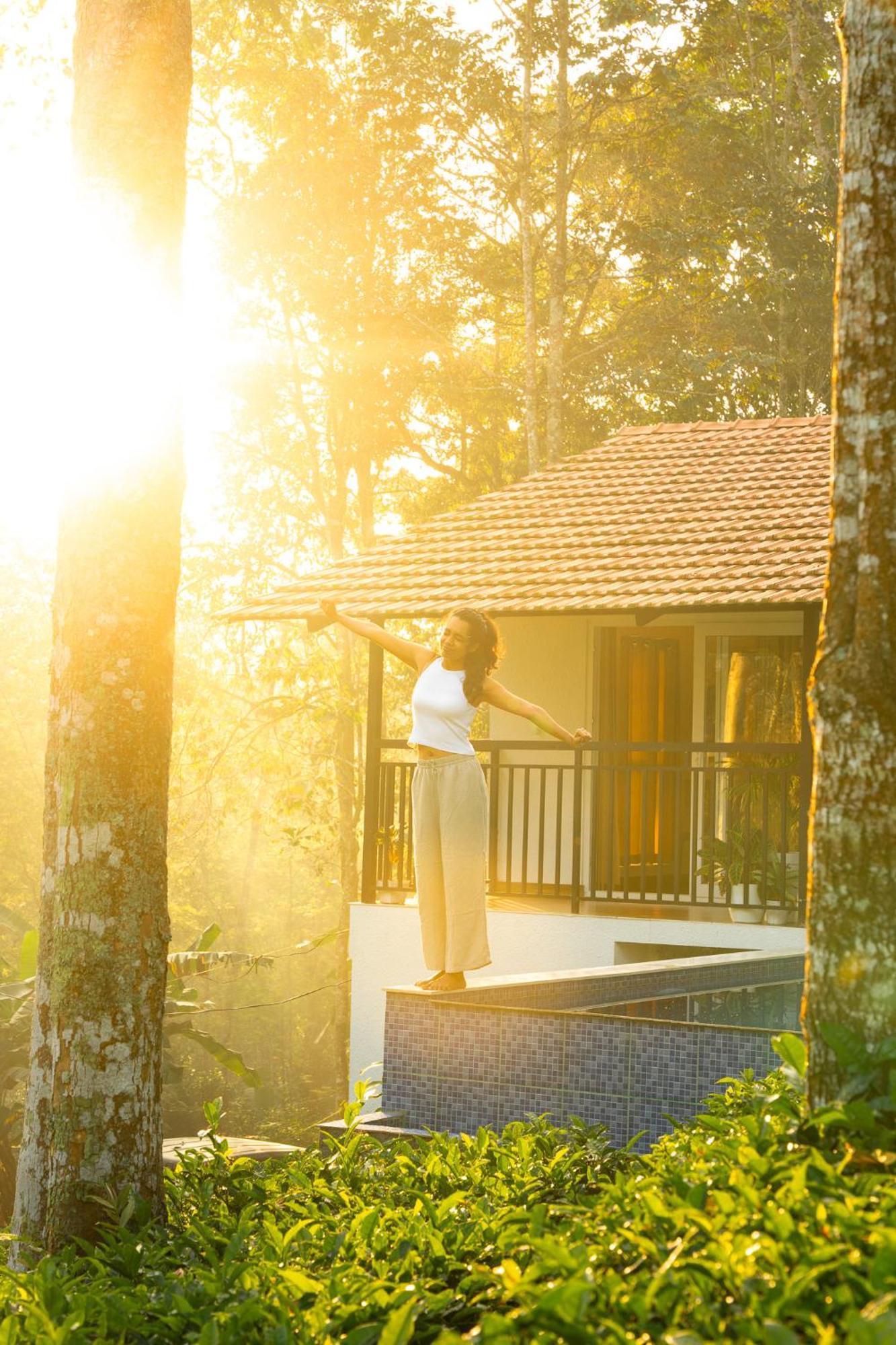 Tealawn Pool Villa, Bed & Breakfast Munnar