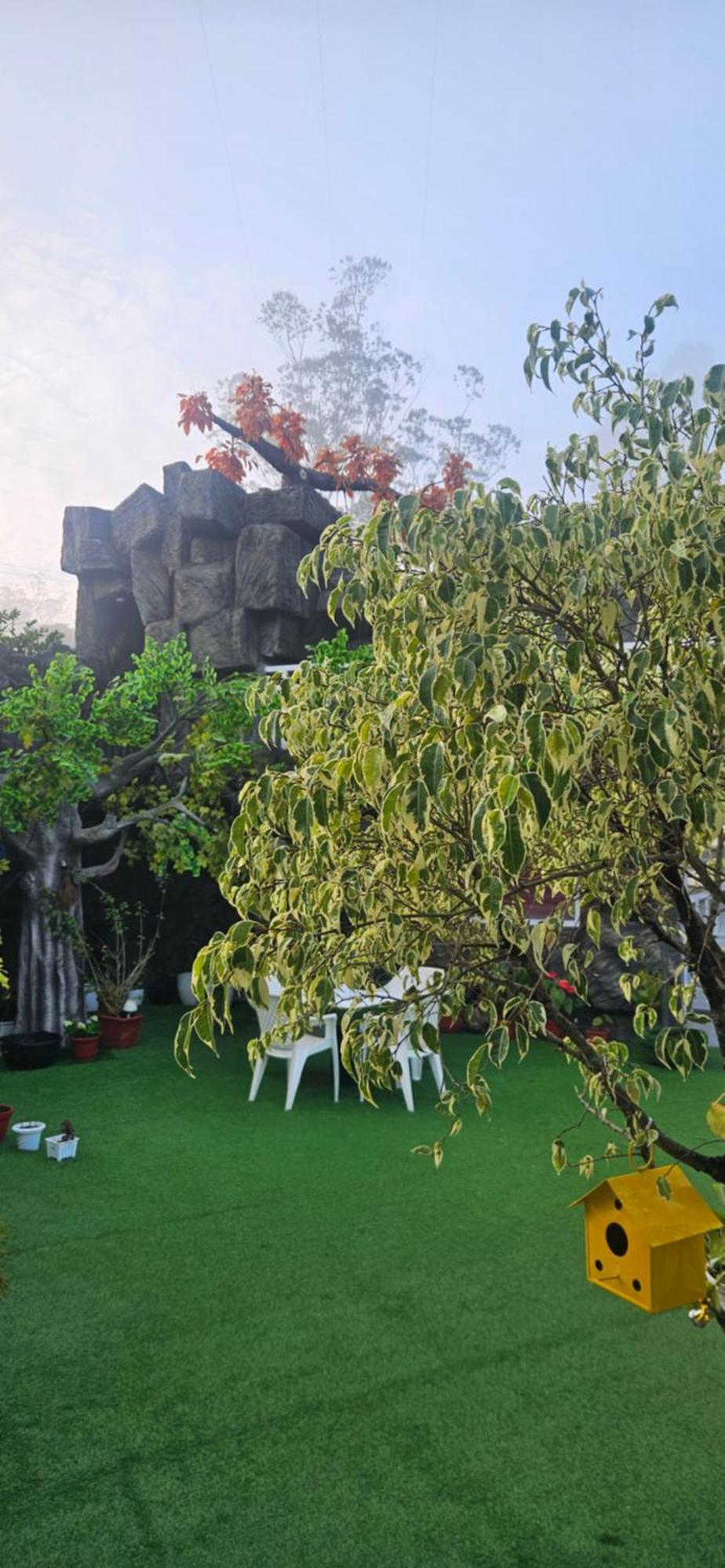 S & B Dreams House Homestay