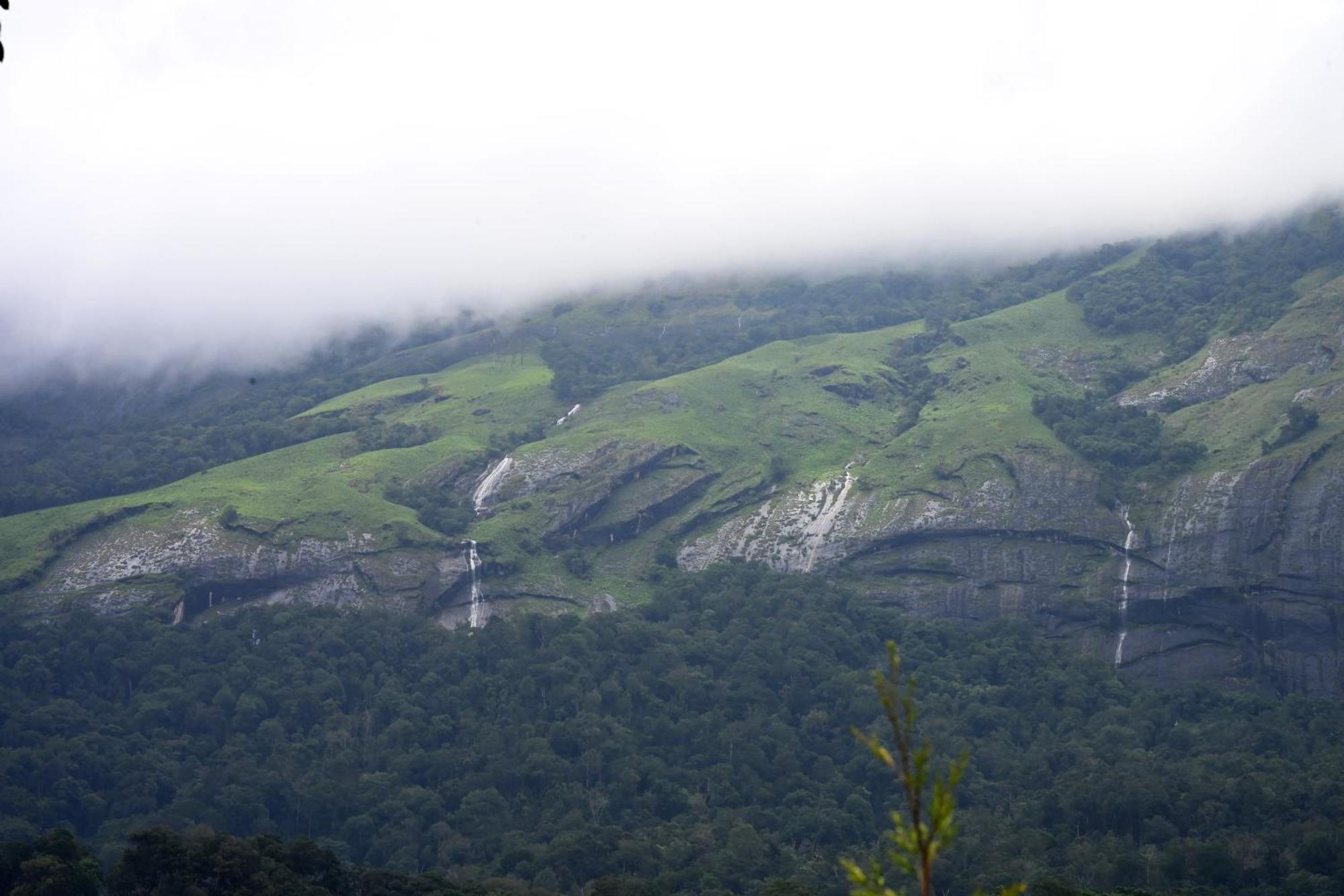 Resort Spring Muunnar, Munnar