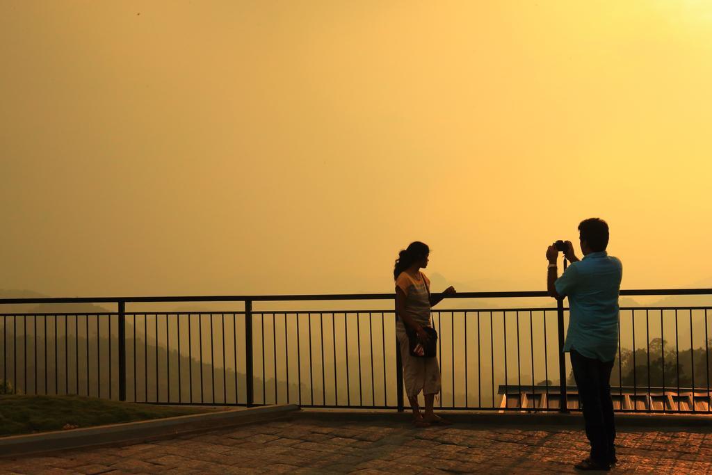 Tea Hills - Mthr