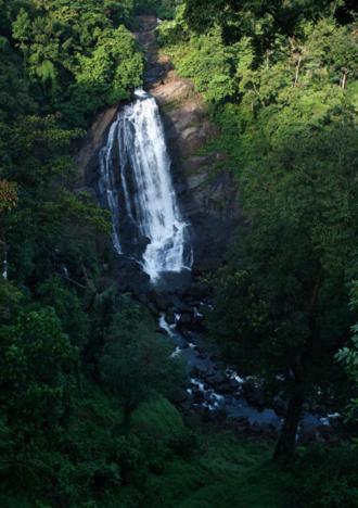 Aruvi Munnar