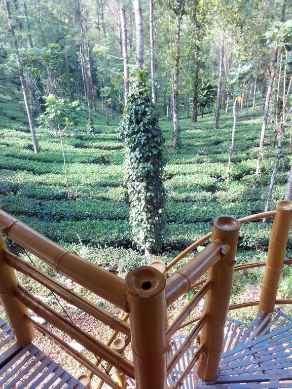 Jungle Jive Tree House Bed & Breakfast