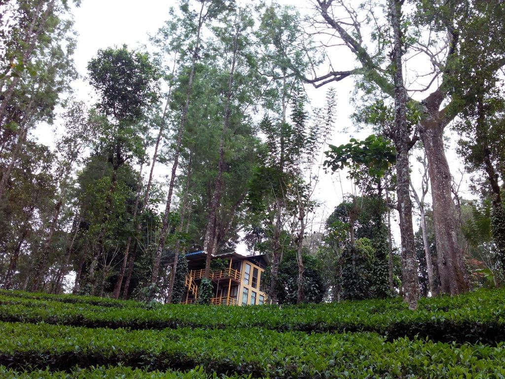 Bed & Breakfast Jungle Jive Tree House Munnar