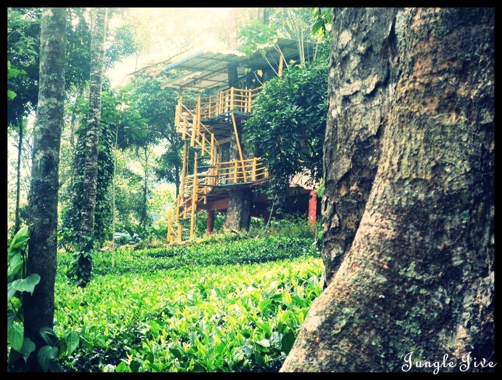 Jungle Jive Tree House Bed & Breakfast Munnar