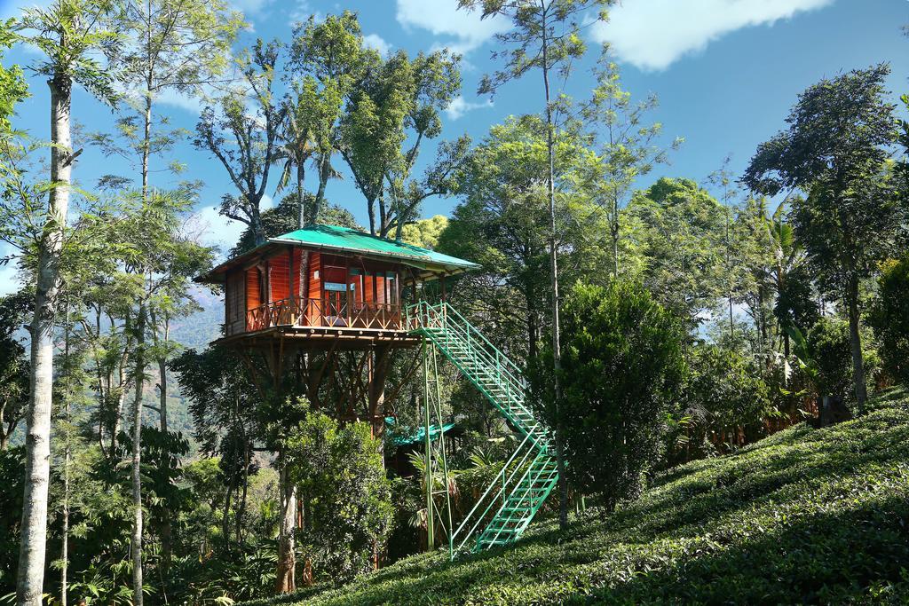 Dream Catcher Plantation 4* Munnar