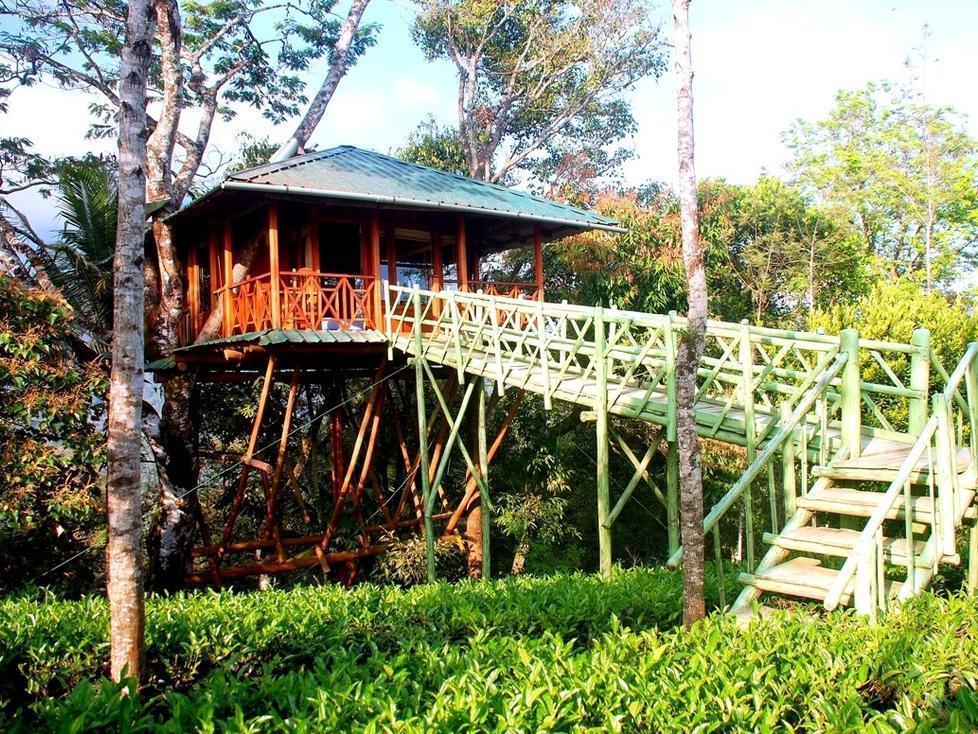 Resort Dream Catcher