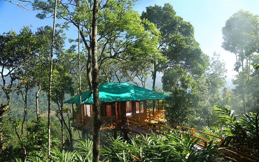 Dream Catcher Munnar