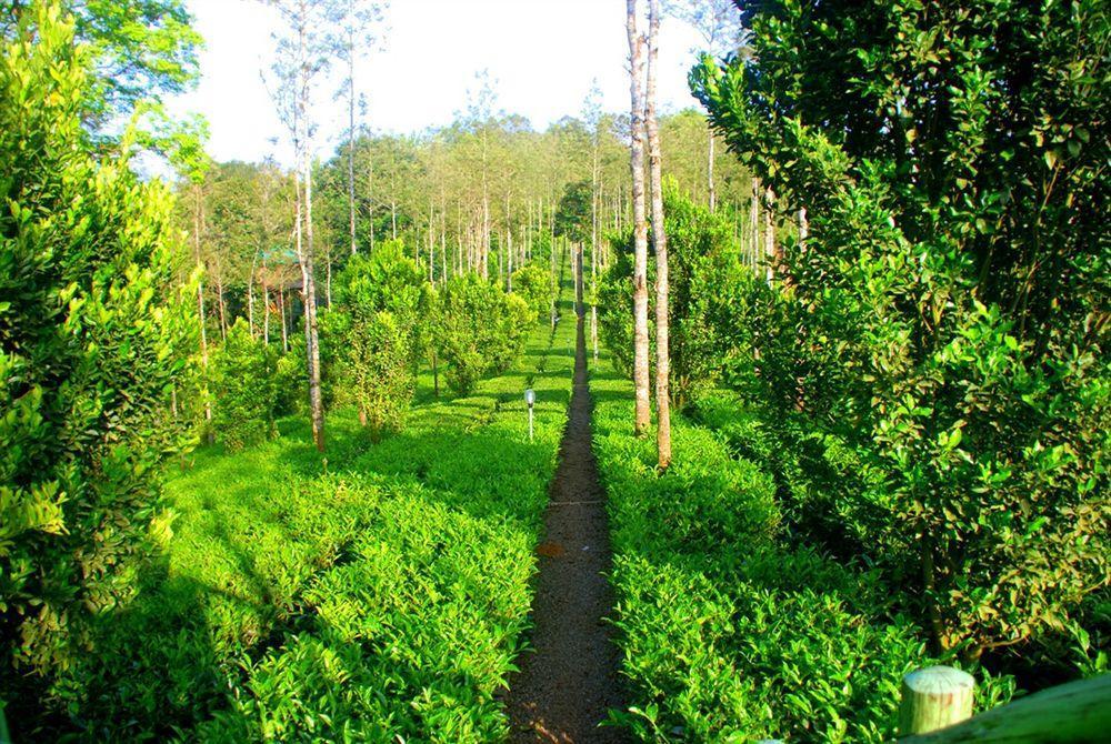 Dream Catcher Munnar