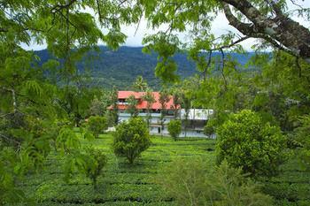 Resort Dream Catcher Munnar