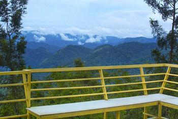 Resort Dream Catcher Munnar