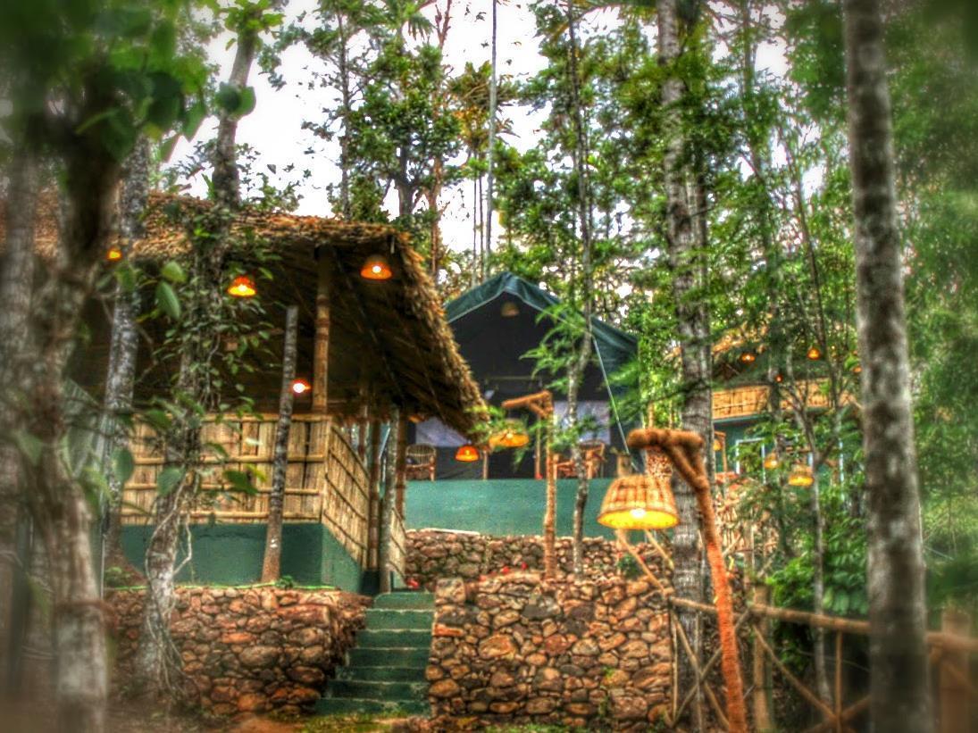 Resort Season7 The Nature 3*