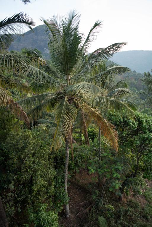 View Valley Homestay Munnar