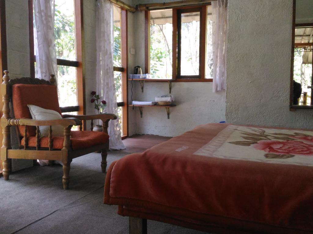 Jungle Jive Tree House Bed & Breakfast 3*