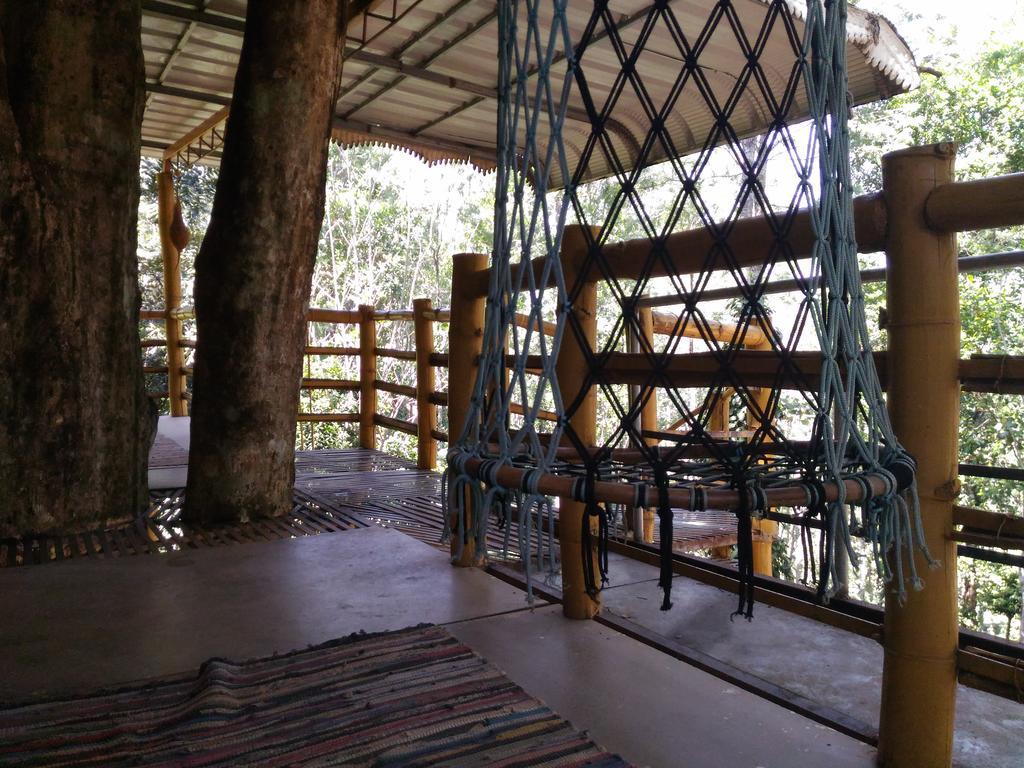 Bed & Breakfast Jungle Jive Tree House