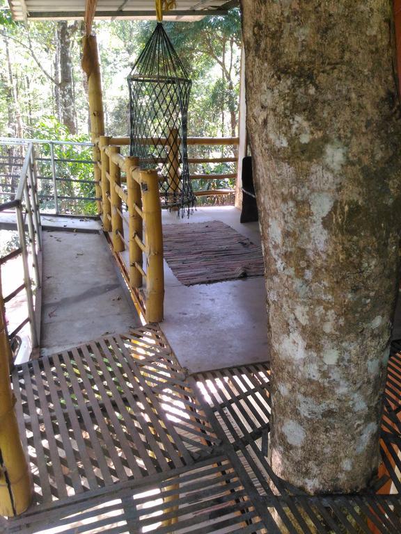 Jungle Jive Tree House Munnar
