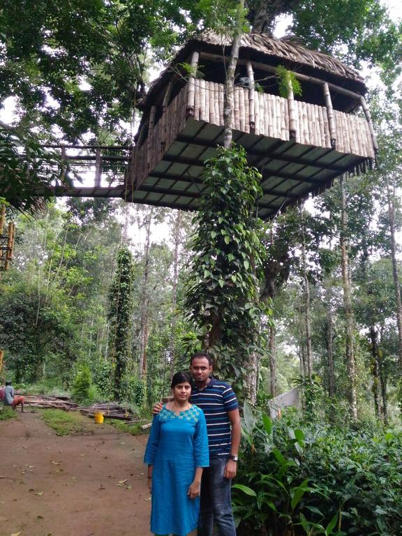 Bed & Breakfast Jungle Jive Tree House