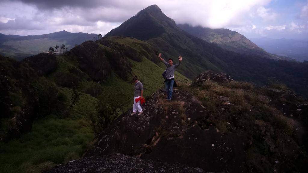 Tea Dale - With Tea Estate View Homestay Munnar