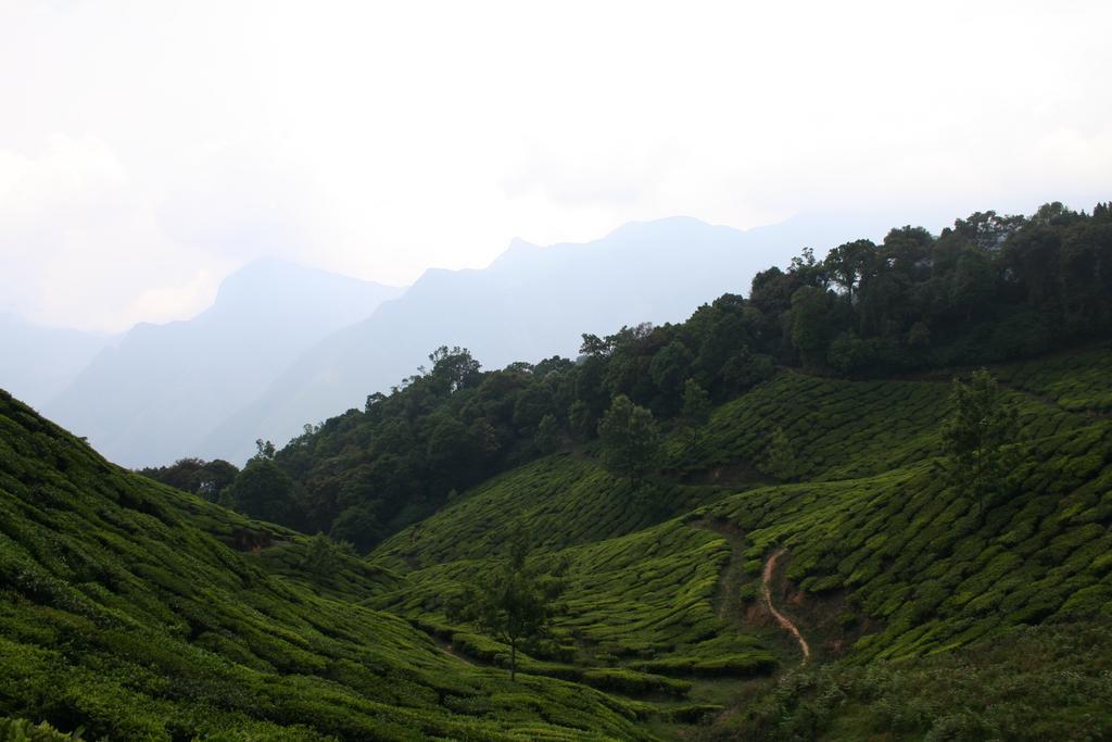 Magic Homestay