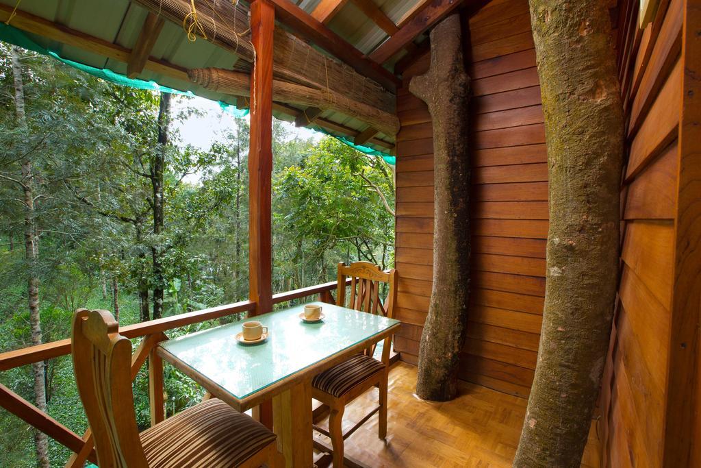 Dream Catcher Plantation Munnar