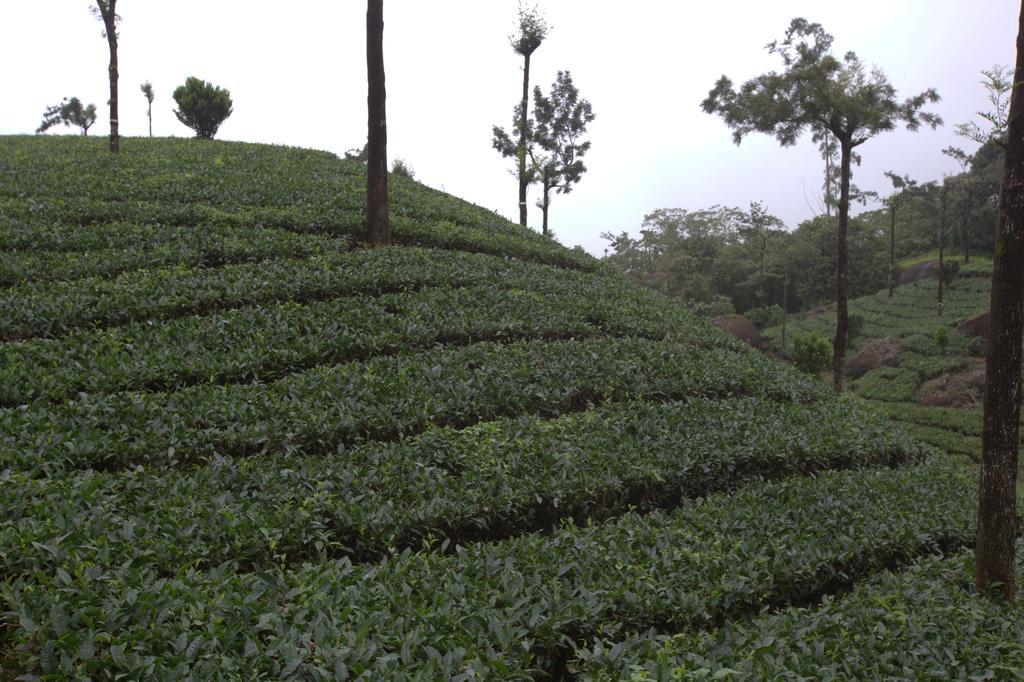 Hotel Grand Plaza Munnar