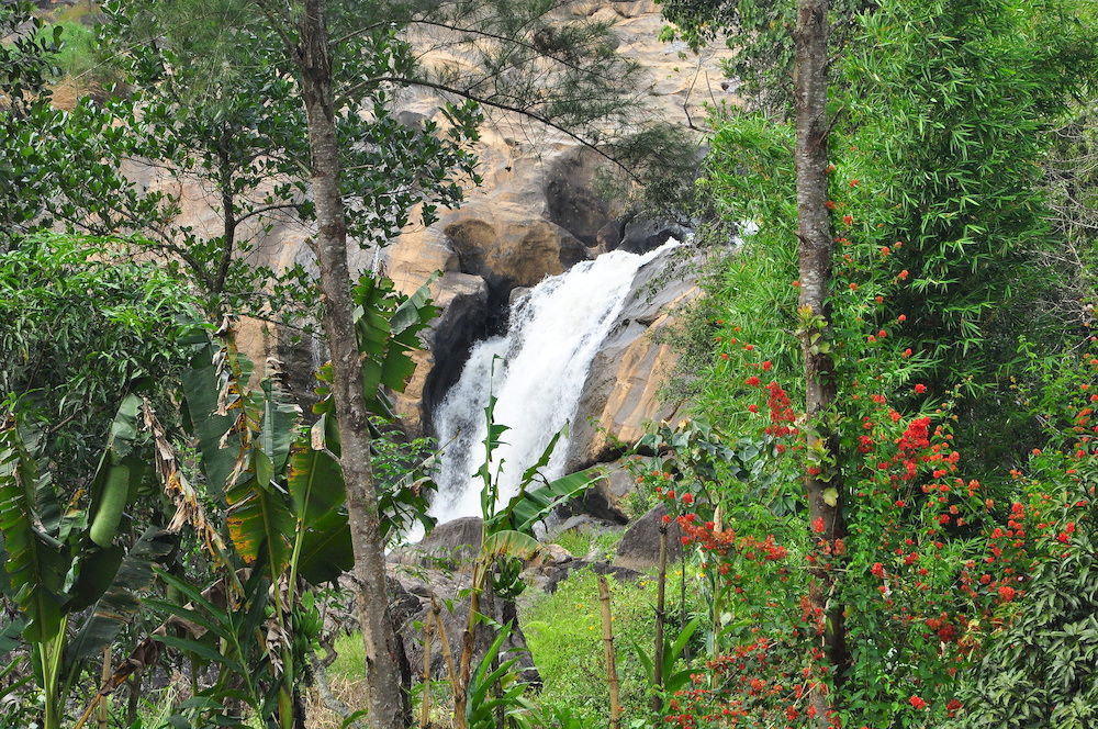 Aruvi
