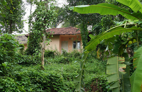 Resort Aruvi Munnar