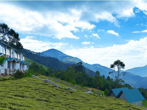 Hotel Green Jungle Holiday 3*