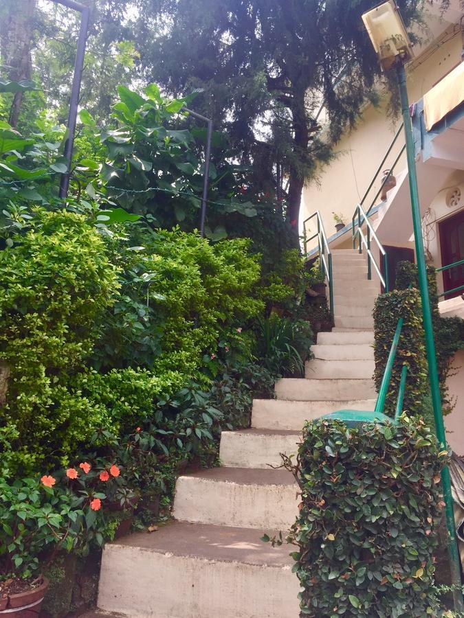 Guest house Cicily *
