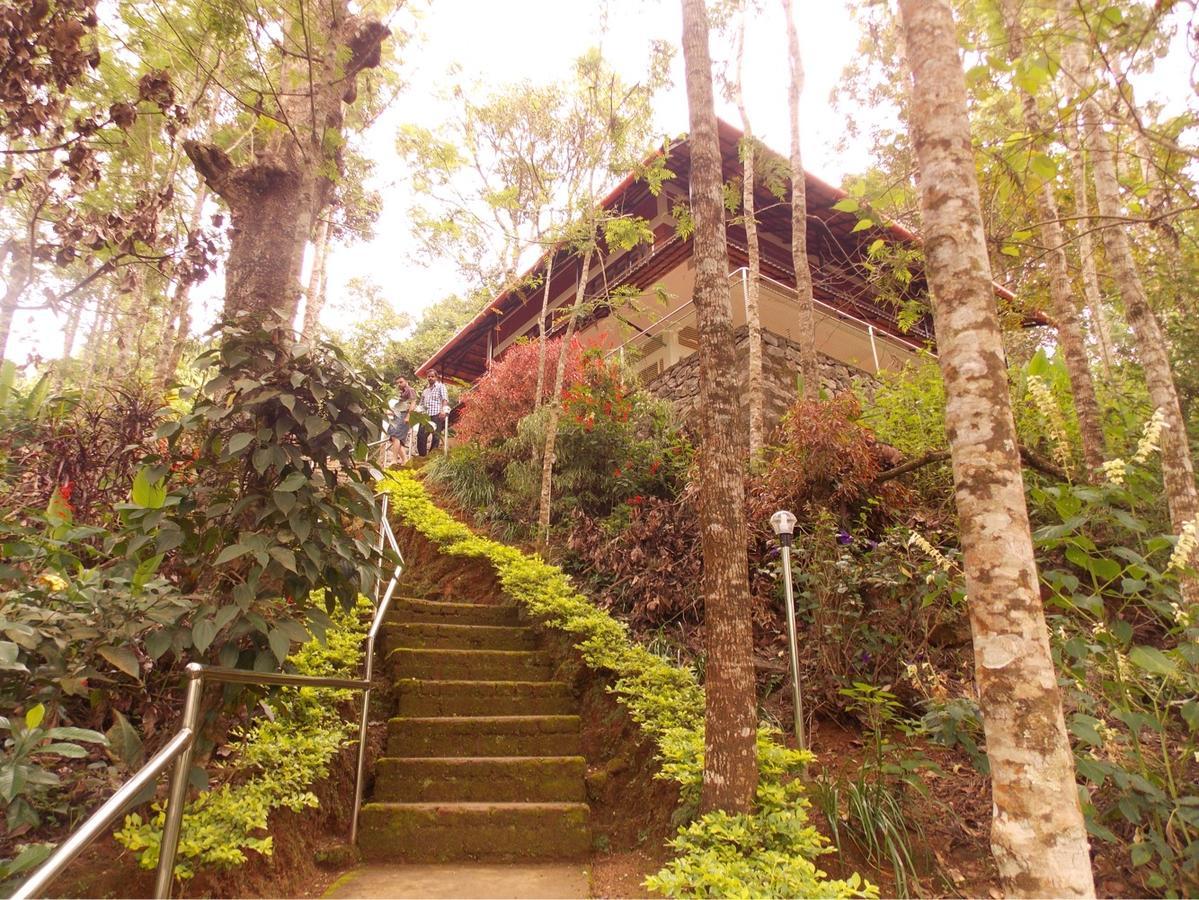 Clouds Land Bed & Breakfast 2*