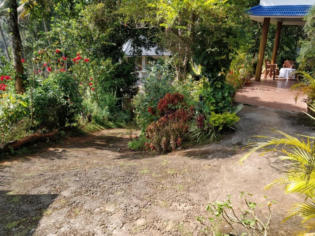Guest house River View