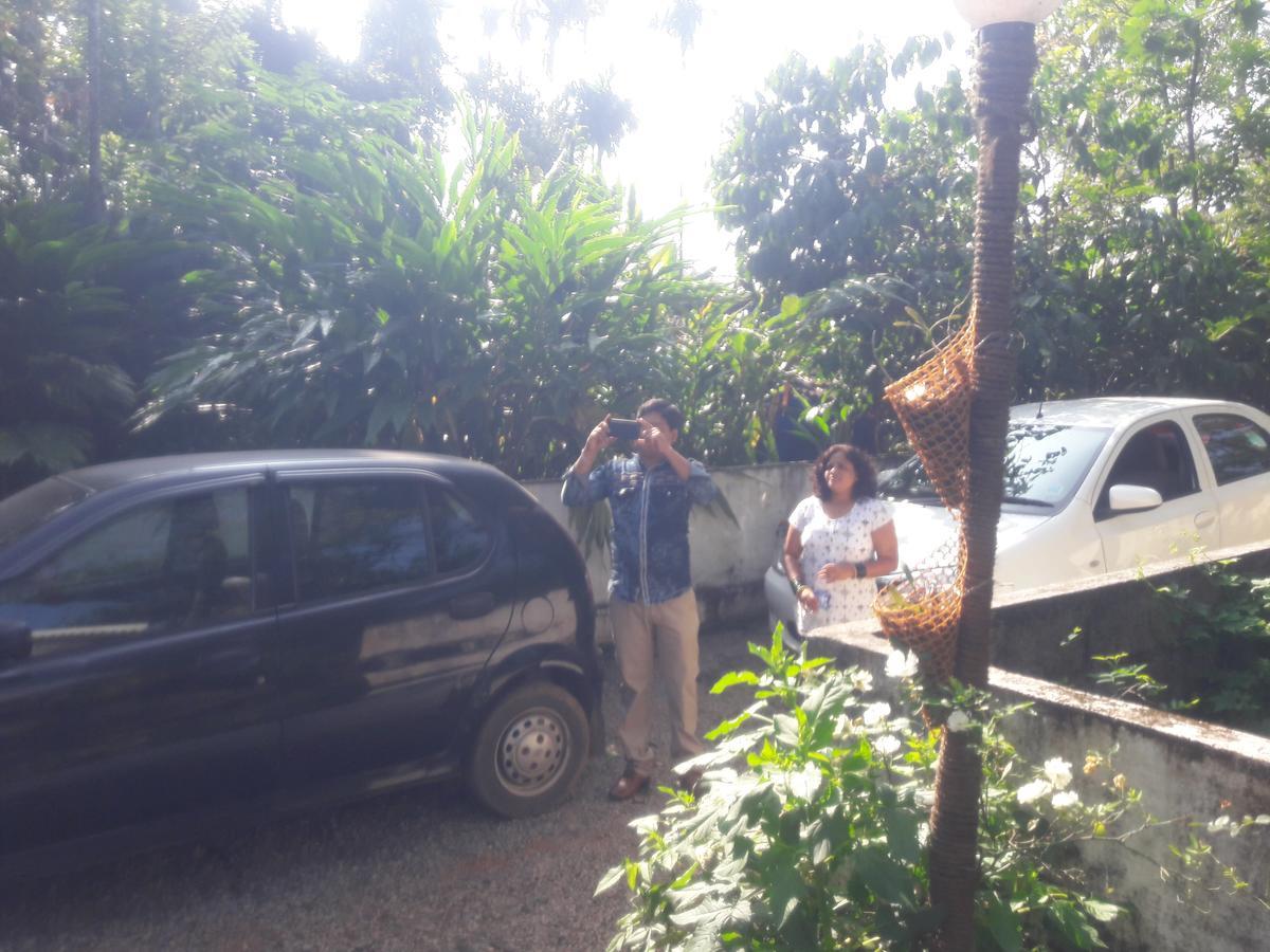 Bed & Breakfast Farmhouse Munnar