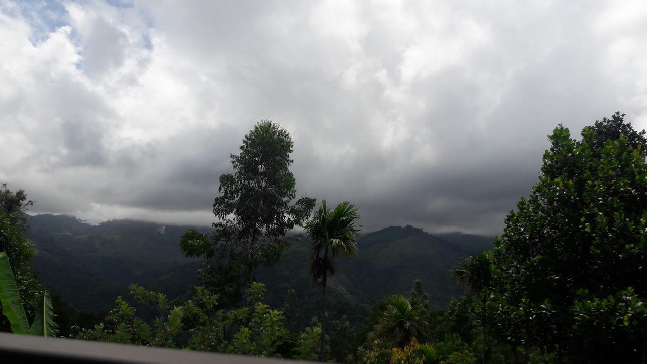 Farmhouse * Munnar