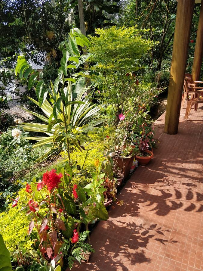 River View Guest house Munnar