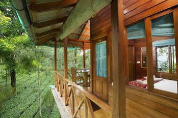 Dream Catcher Resort 2*