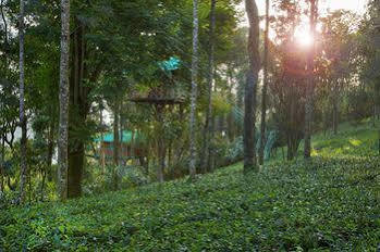 Dream Catcher Munnar