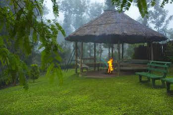 Dream Catcher 2* Munnar