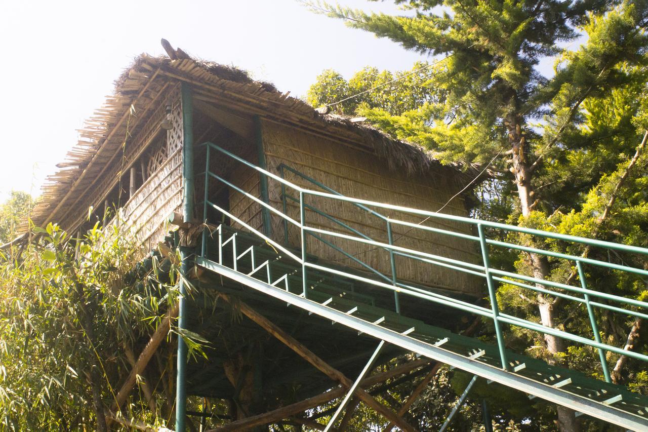 Green Mount * Munnar