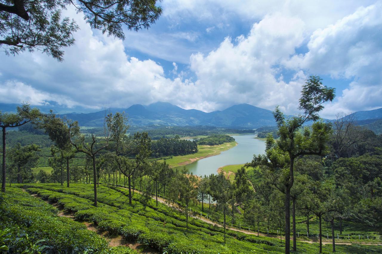 Mount View 2* Munnar