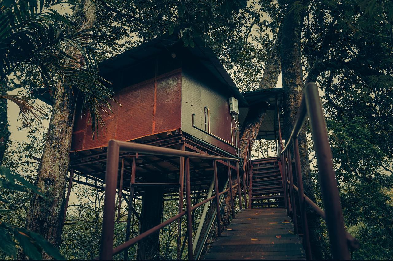 Ela Ecoland Nature Retreat Munnar