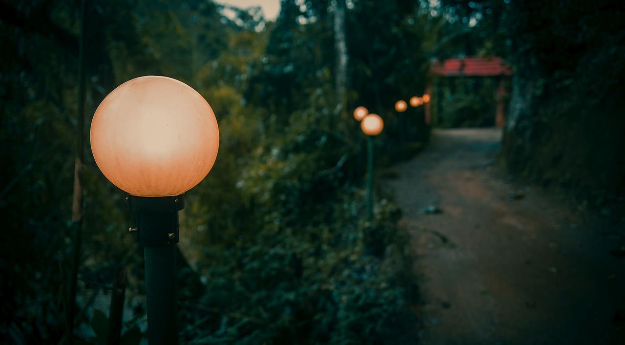 Ela Ecoland Nature Retreat Munnar