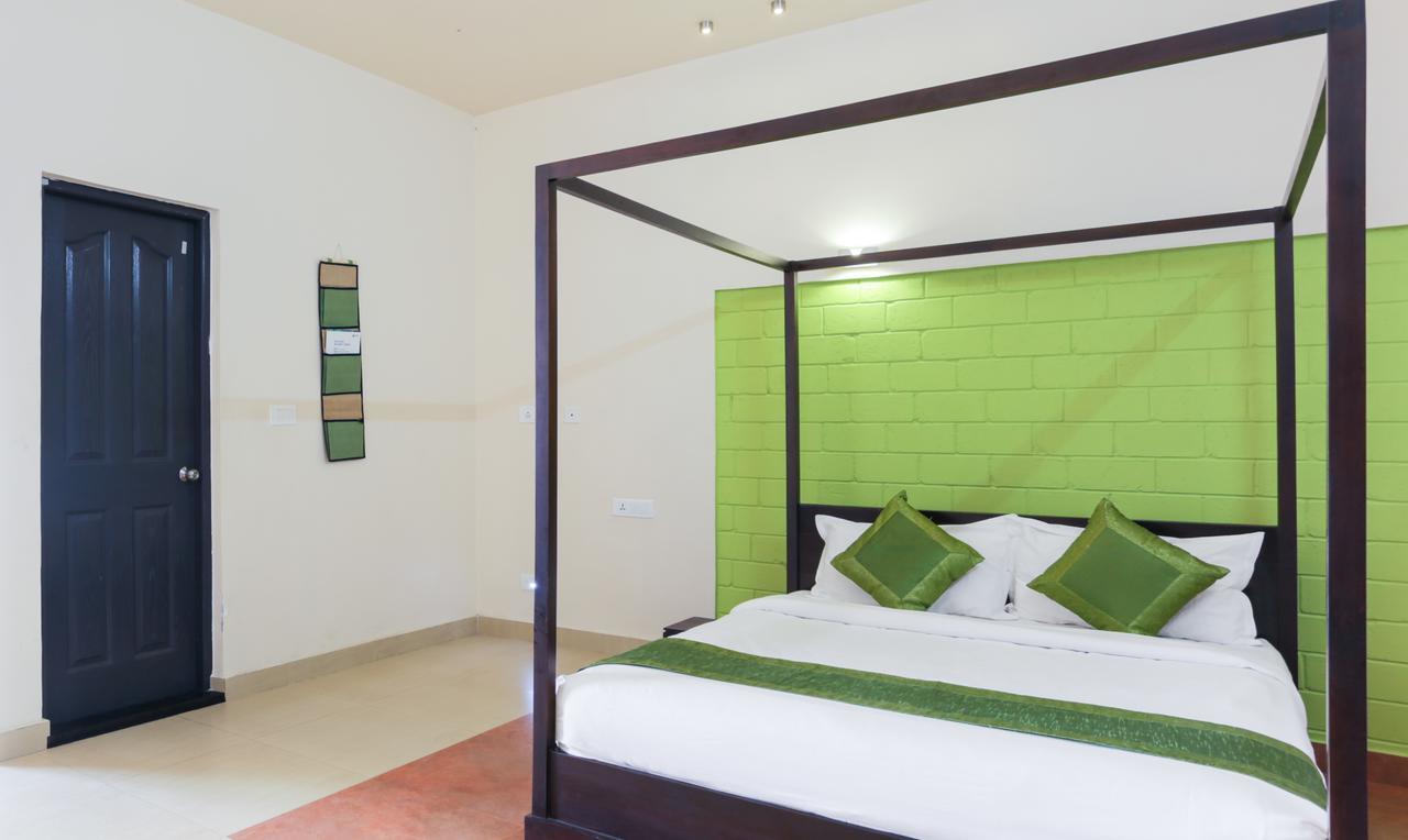 Resort Forest County Munnar