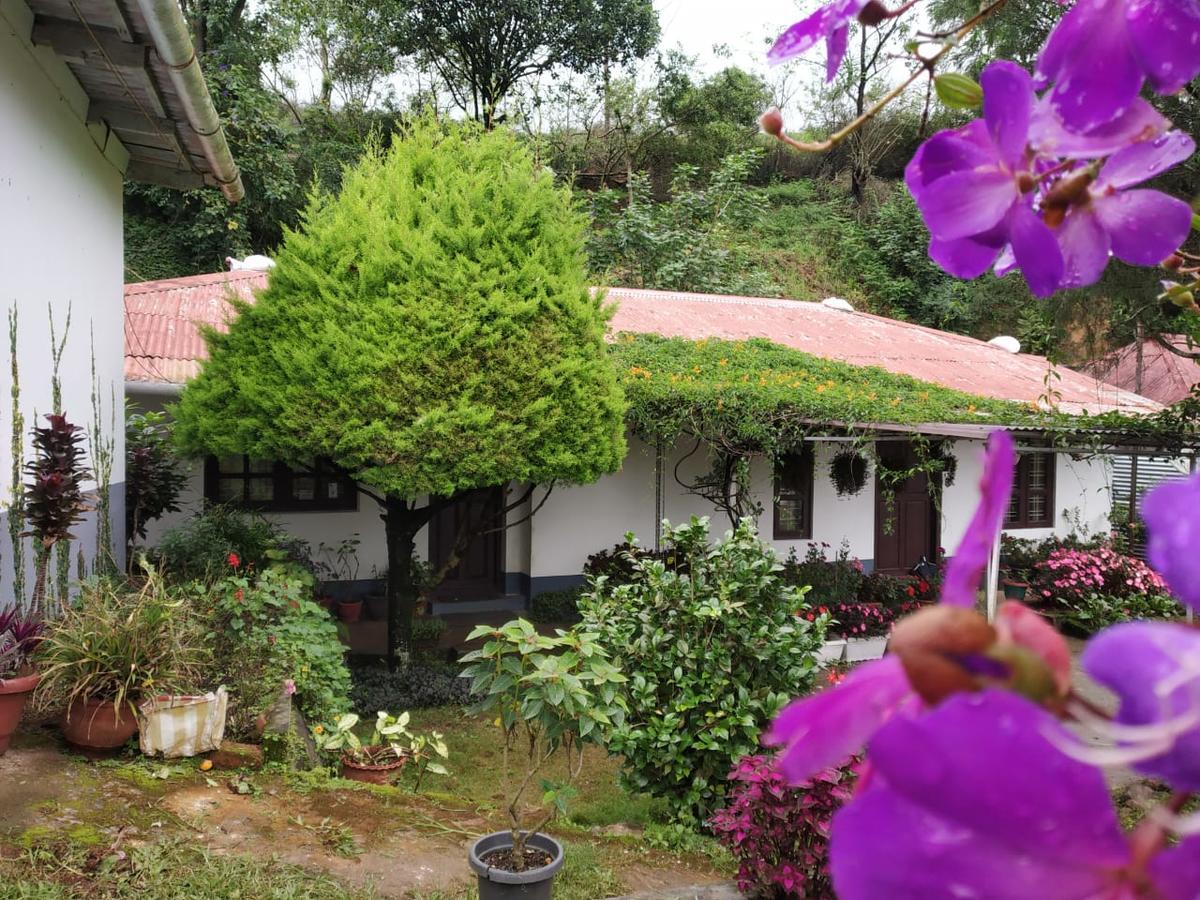 Guest house Rheinberg Town Haus 3*