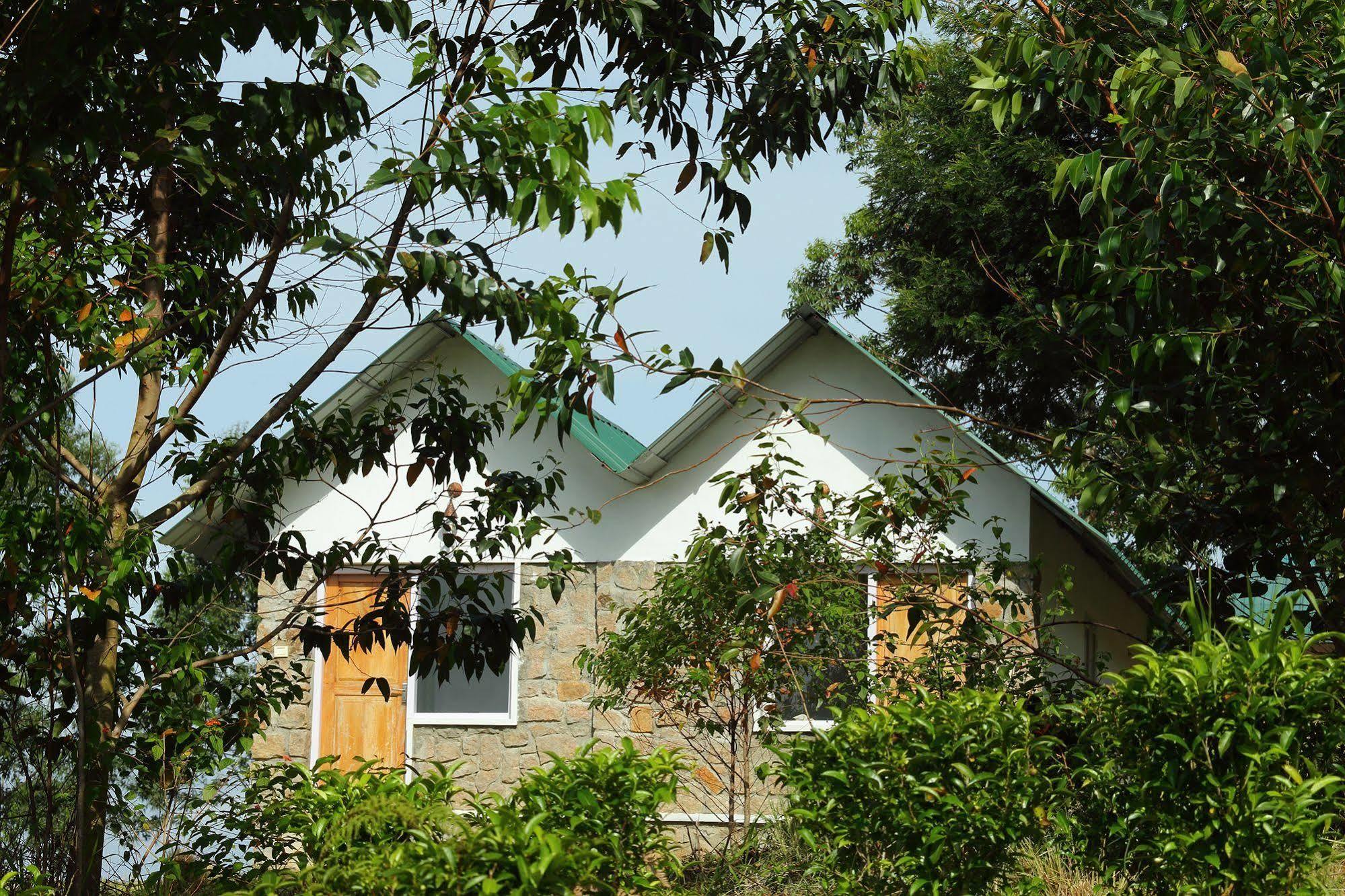 Hotel Green Jungle Holiday Munnar