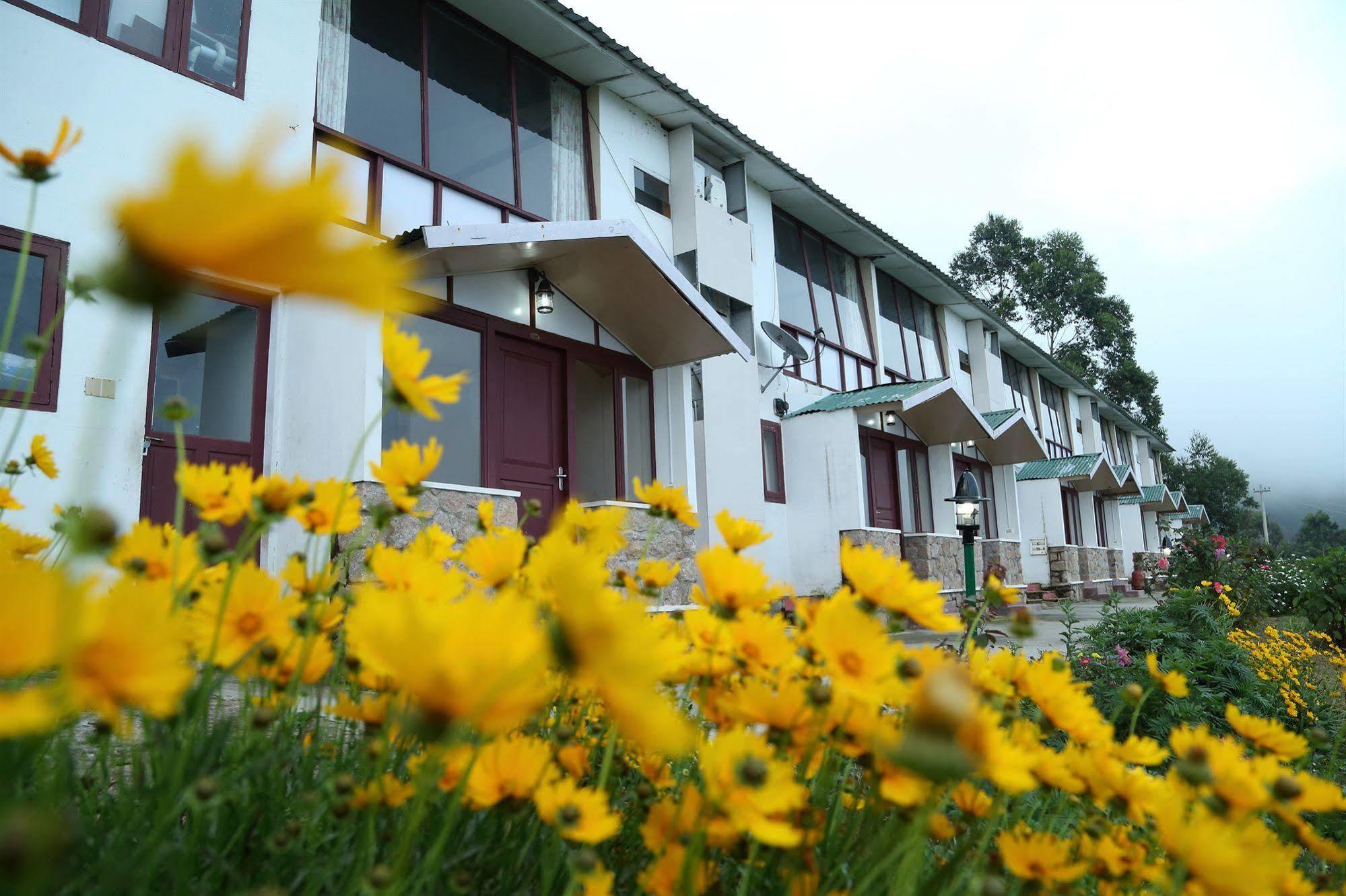 Green Jungle Holiday Hotel Munnar