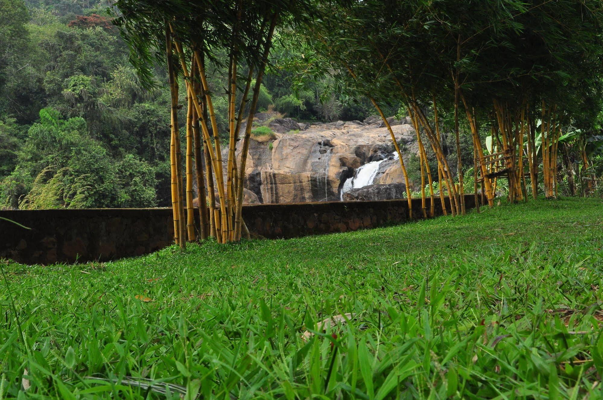 Aruvi Munnar