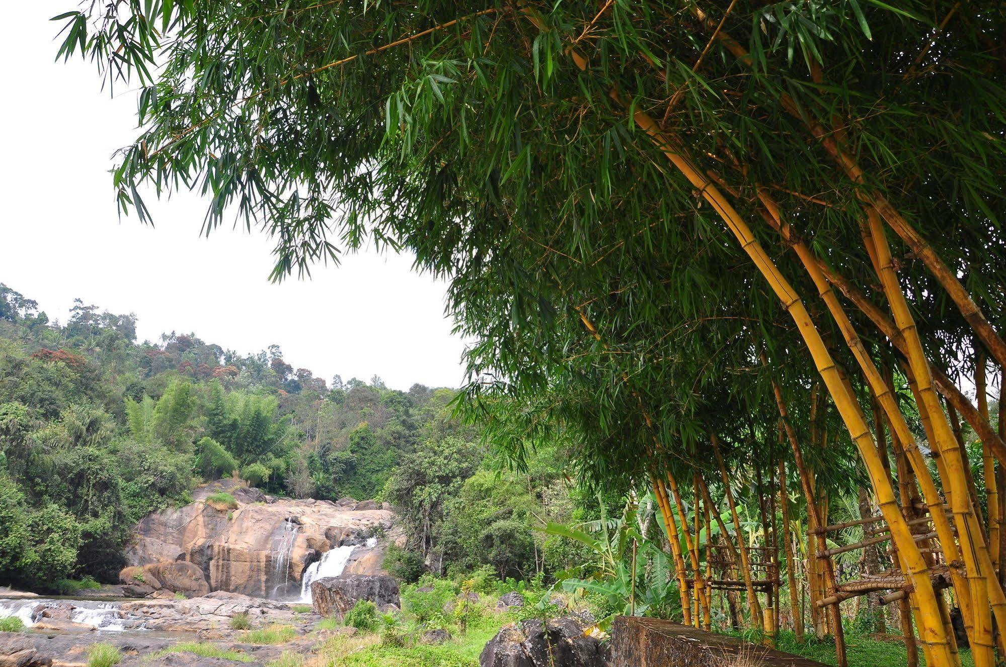 Resort Aruvi