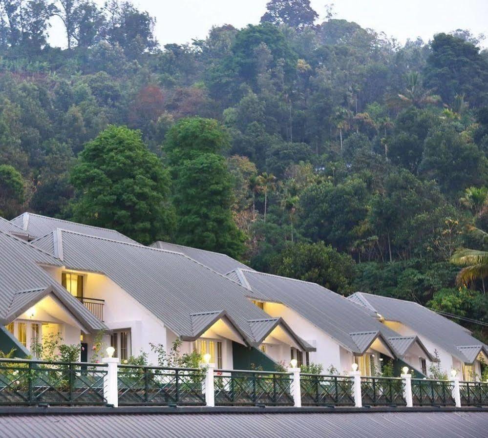 Tea Hills - Mthr
