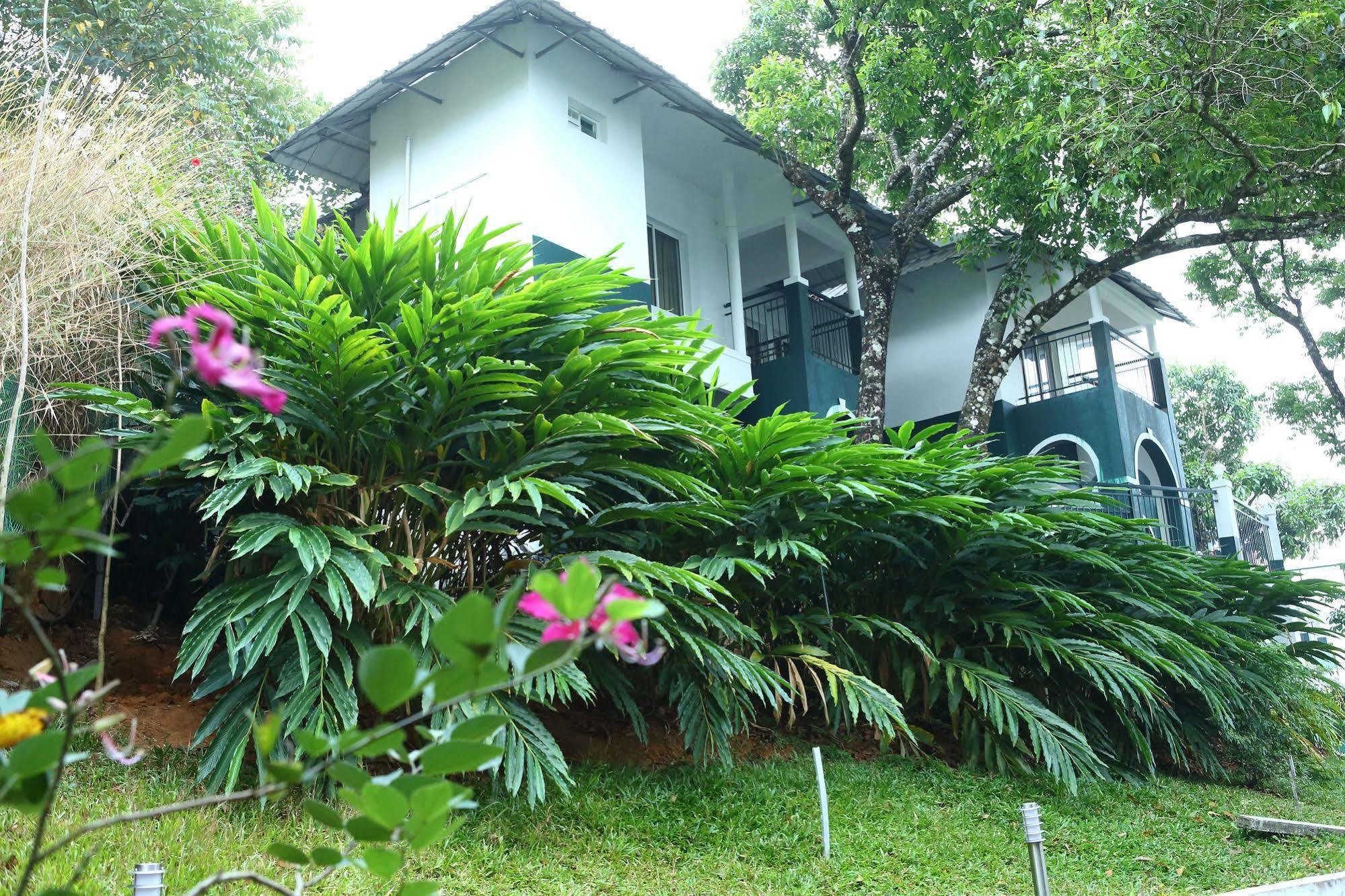 Tea Hills - Mthr Resort